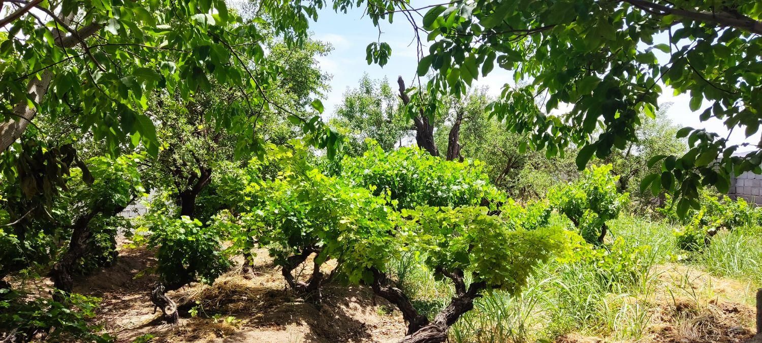 ۴۰۰ متر چهار دیواری|فروش زمین و ملک کلنگی|شهریار, رنگرز|دیوار