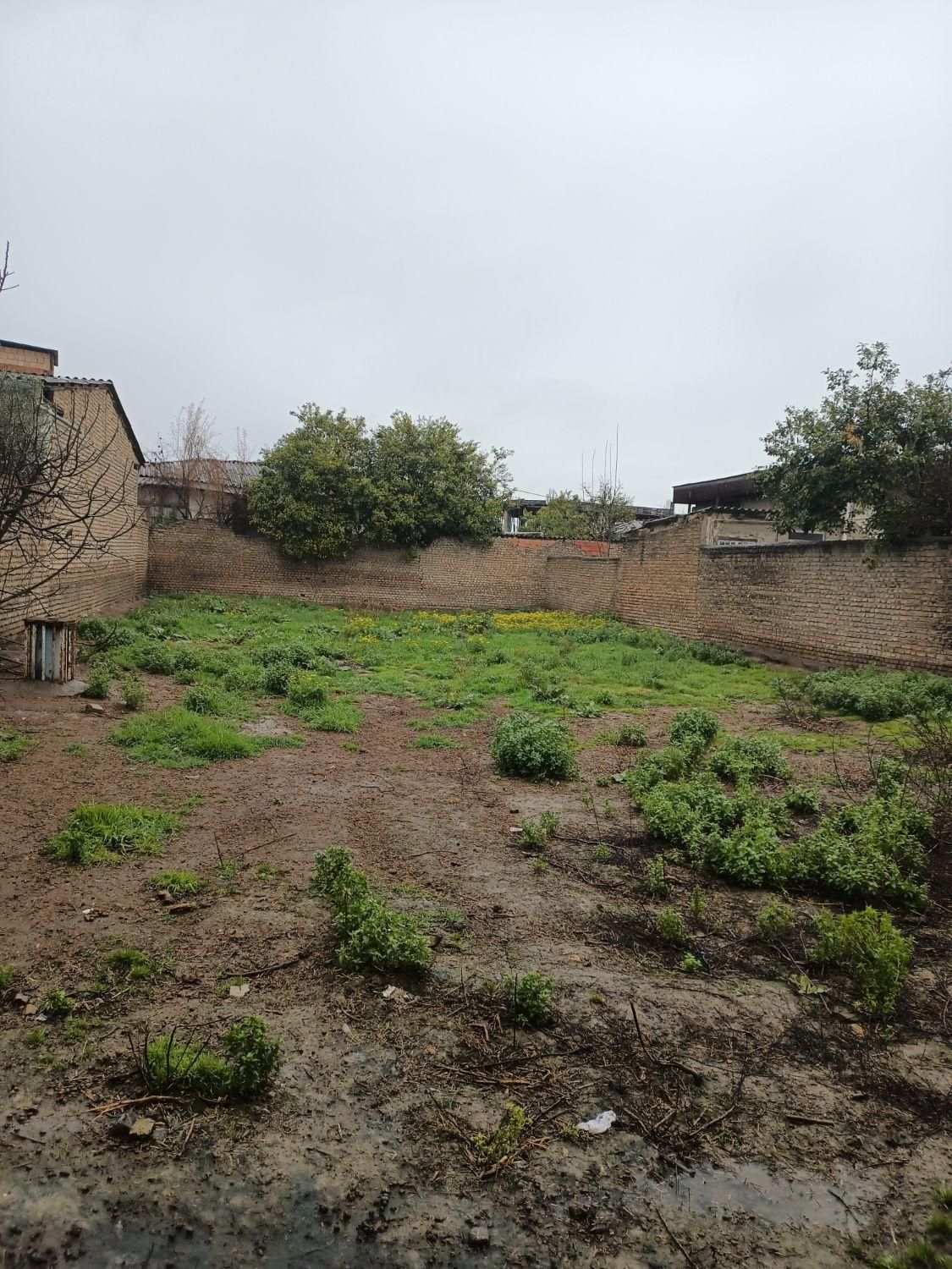 زمین مسکونی سندار محمدابادگرگان|فروش زمین و ملک کلنگی|گرگان, |دیوار