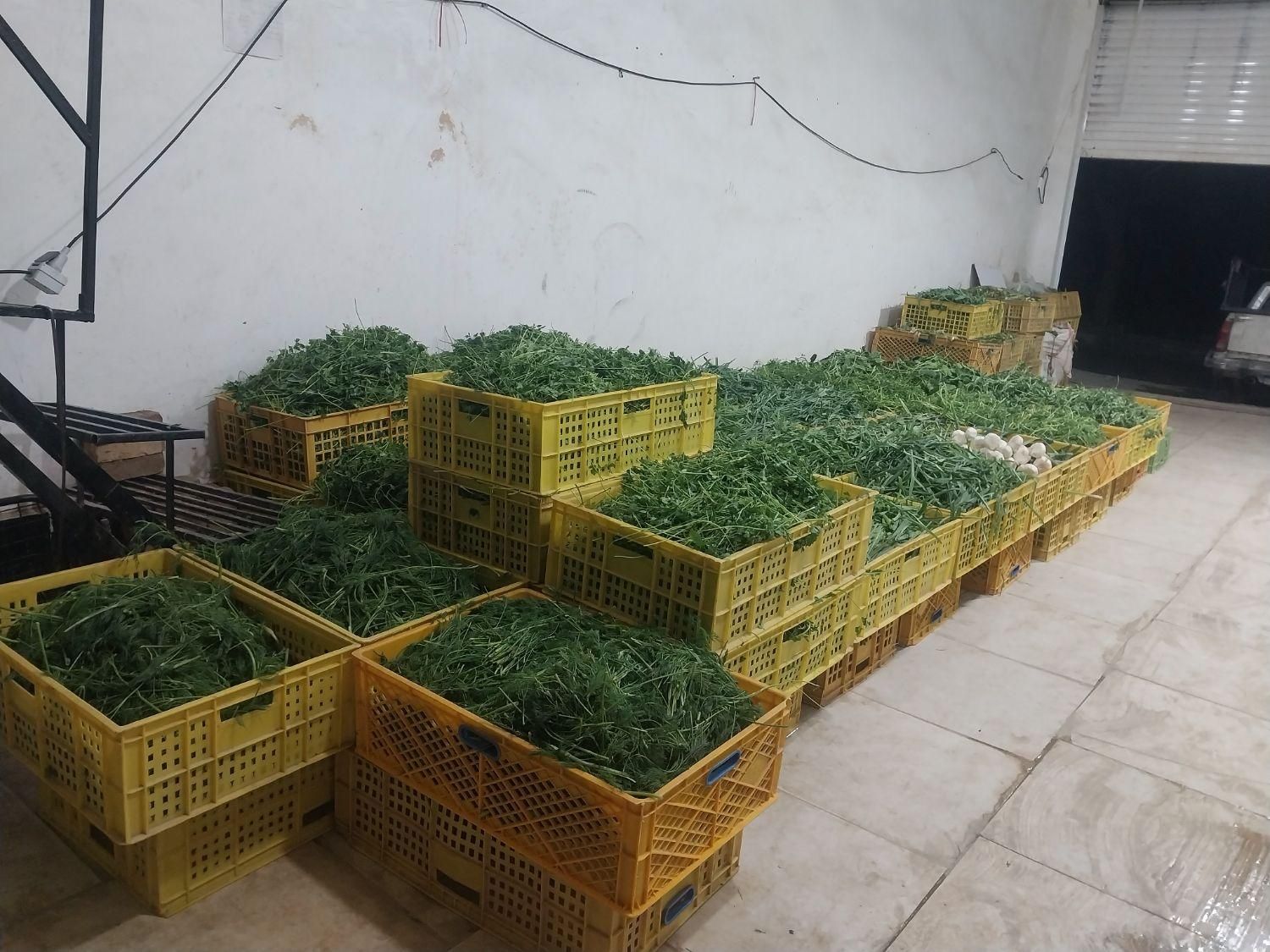 پخش سبزی خورد شده و پاک شده شهریار|خوردنی و آشامیدنی|شهریار, شهرک بهاران (ویره)|دیوار