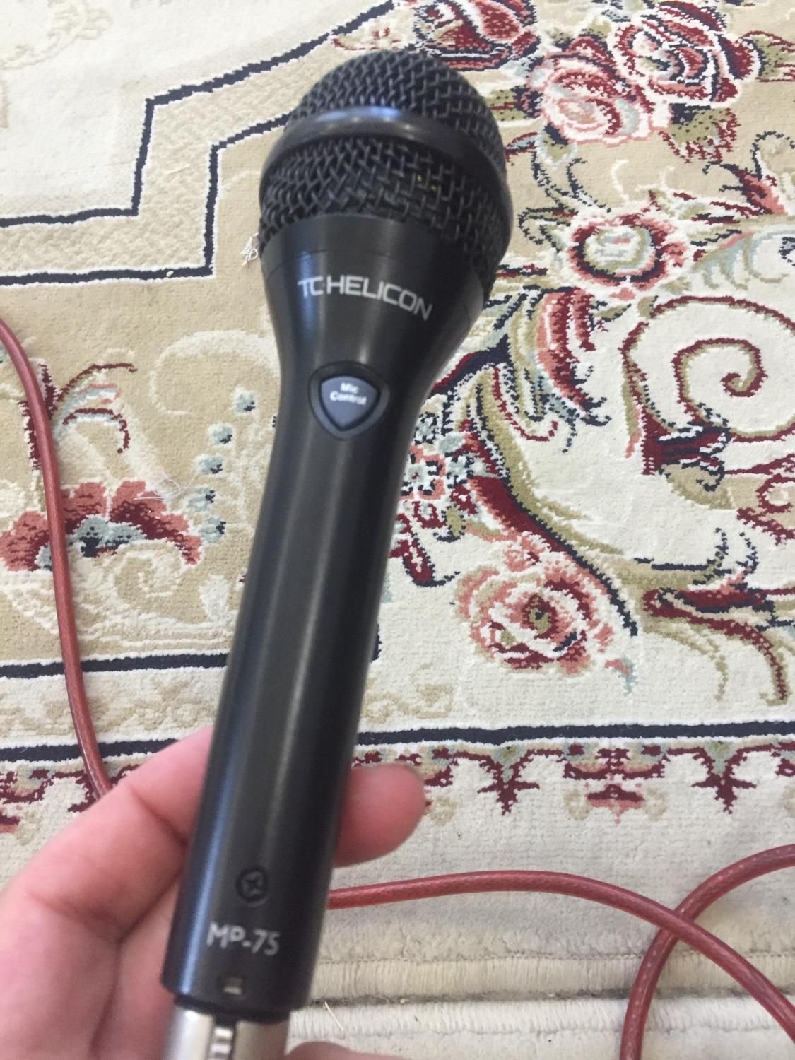 میکروفون باسیم|آلات موسیقی|رشت, پل تالشان|دیوار