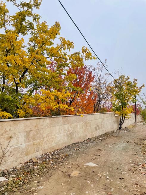 فروش زمین،بهترین موقعیت فشند،عالی چنار|فروش زمین و ملک کلنگی|هشتگرد, فشند|دیوار