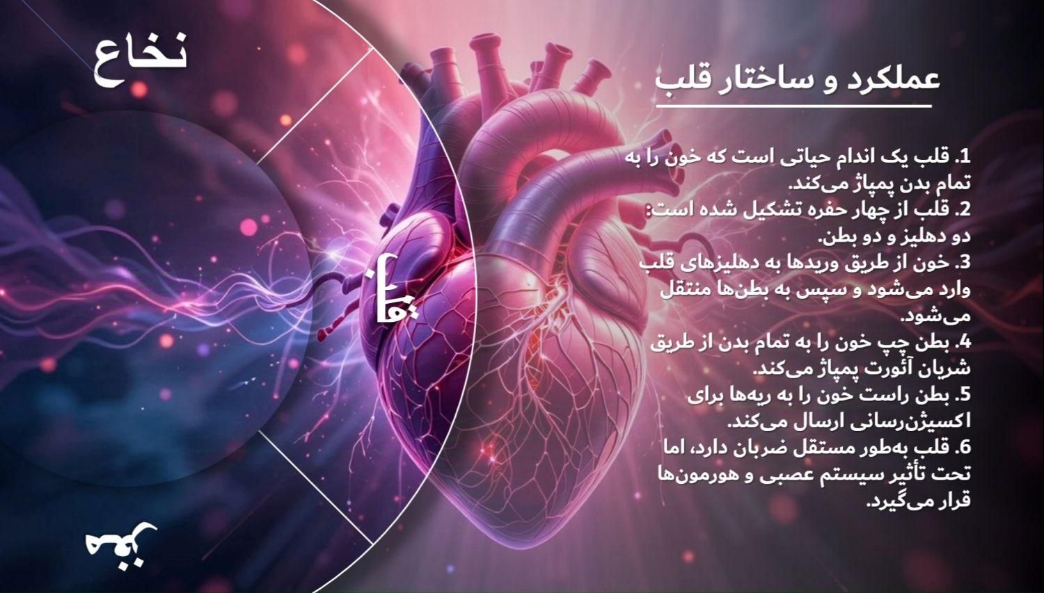 پاورپوینت ترجمه تایپ فتوشاپ لوگو طراحی تحقیق بنر|خدمات رایانه‌ای و موبایل|مشهد, دانشگاه فردوسی|دیوار