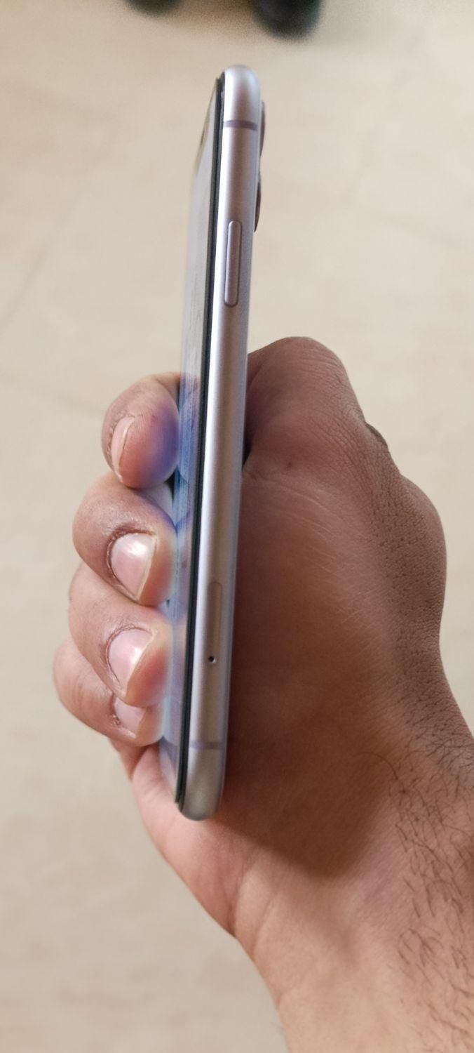 iphone 11|موبایل|اردکان, |دیوار