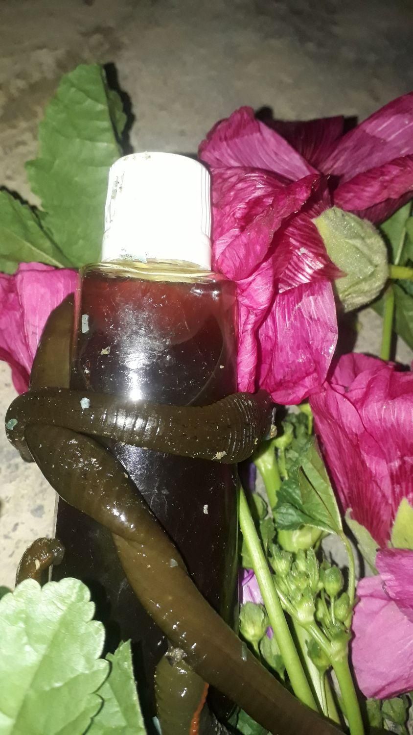 روغن خراطین بامیکس زالو صددرصدطبیعی وتضمینی|آرایشی، بهداشتی، درمانی|قم, میرزائیه|دیوار