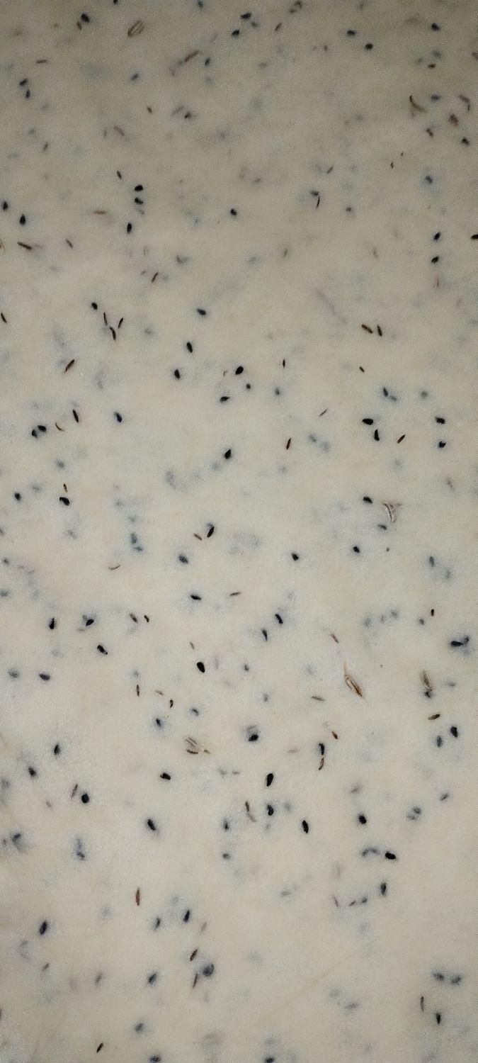 کلوچه خرمایی اصیل سیستانی|خوردنی و آشامیدنی|میبد, |دیوار