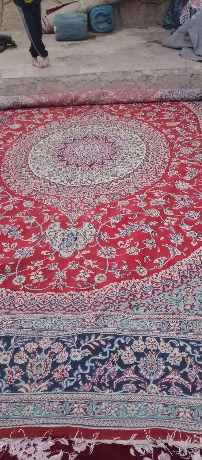 سه عدد قالی|فرش|گلبهار, |دیوار