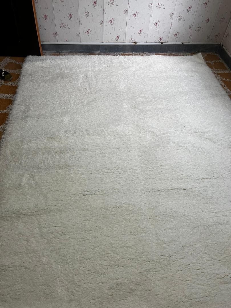 فرش 6متری مدل شگی آکبند و نو|فرش|لاهیجان, گلستان|دیوار