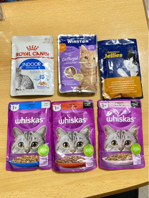 پت شاپ بمدیریت دکتر دامپزشک|لوازم جانبی حیوانات|رشت, حمیدیان|دیوار