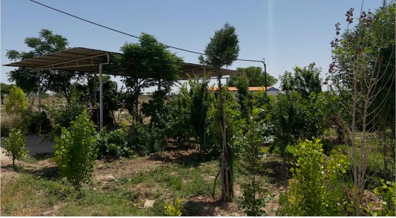 8/500مترزمین بامجوزگلخانه(سند۶دانگ تک برگ)داودآباد|فروش دفتر صنعتی، کشاورزی، تجاری|قرچک, داوود آباد|دیوار