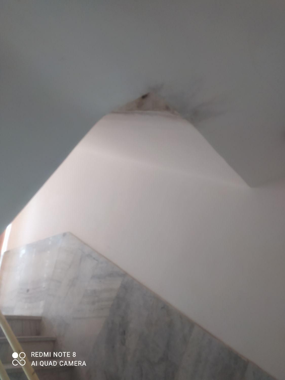 لکه گیری گچ وخورده کاری داخل شهرخارج شهر|خدمات پیشه و مهارت|بیرجند, |دیوار