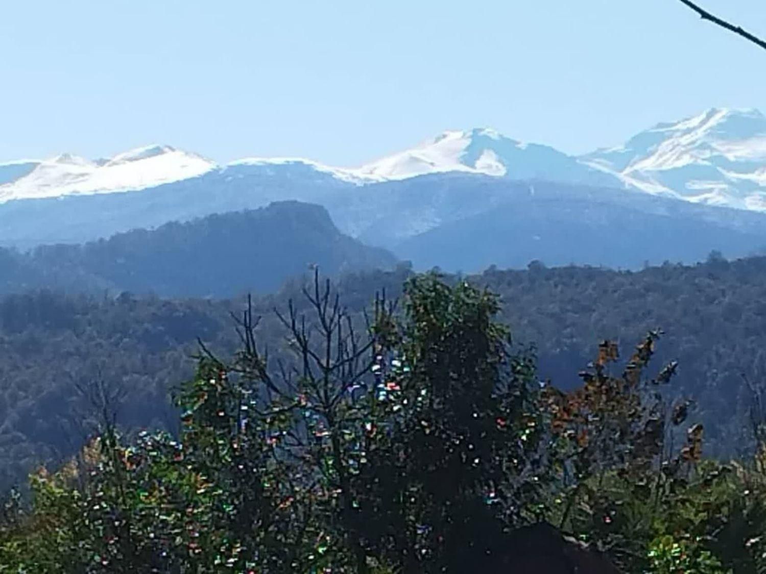 کلبه جنگلی استخر سرپوشیده نوساز امنیت عالی ویوابدی|اجارهٔ کوتاه‌مدت ویلا و باغ|عباس‌آباد, |دیوار