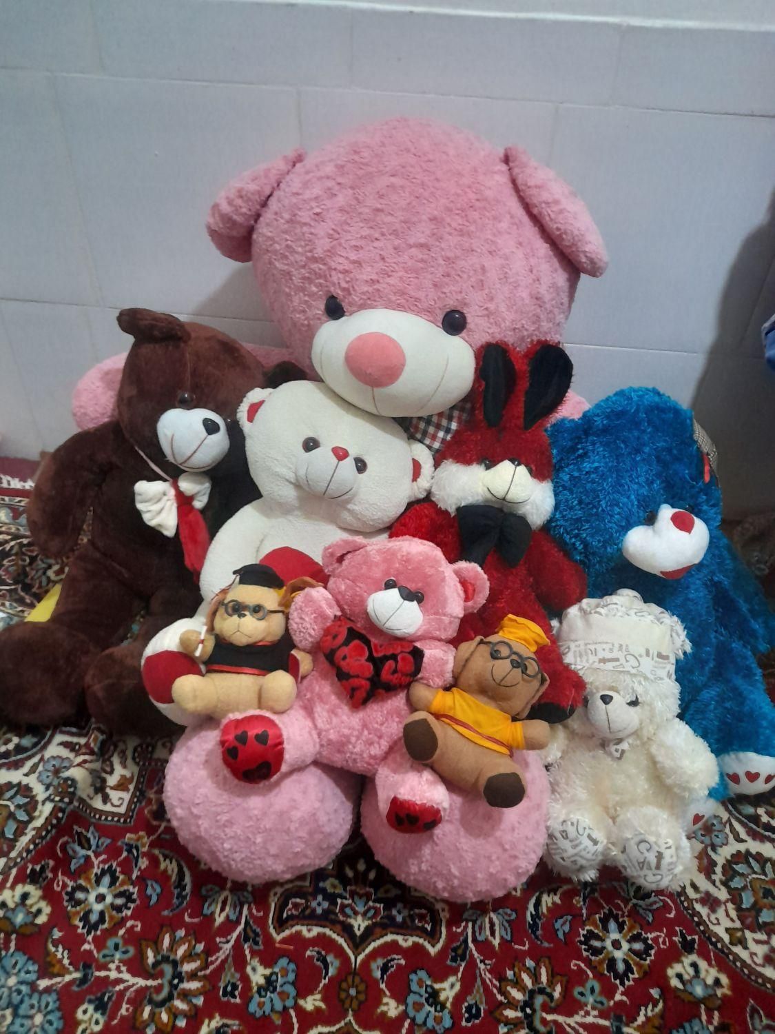 تعدادی عروسک وخرس قیمت مناسب|اسباببازی بچه|فلاورجان, |دیوار