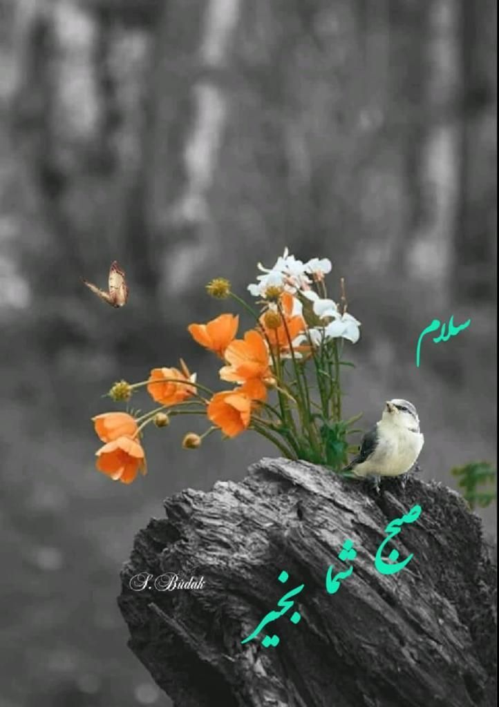 خانم جهت نظافت|خدمات نظافت|ملایر, |دیوار