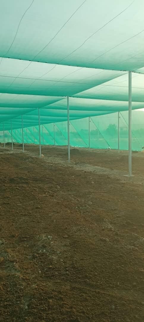 اجرای انواع گلخانه|عمده‌فروشی|شیراز, فرهنگ شهر|دیوار