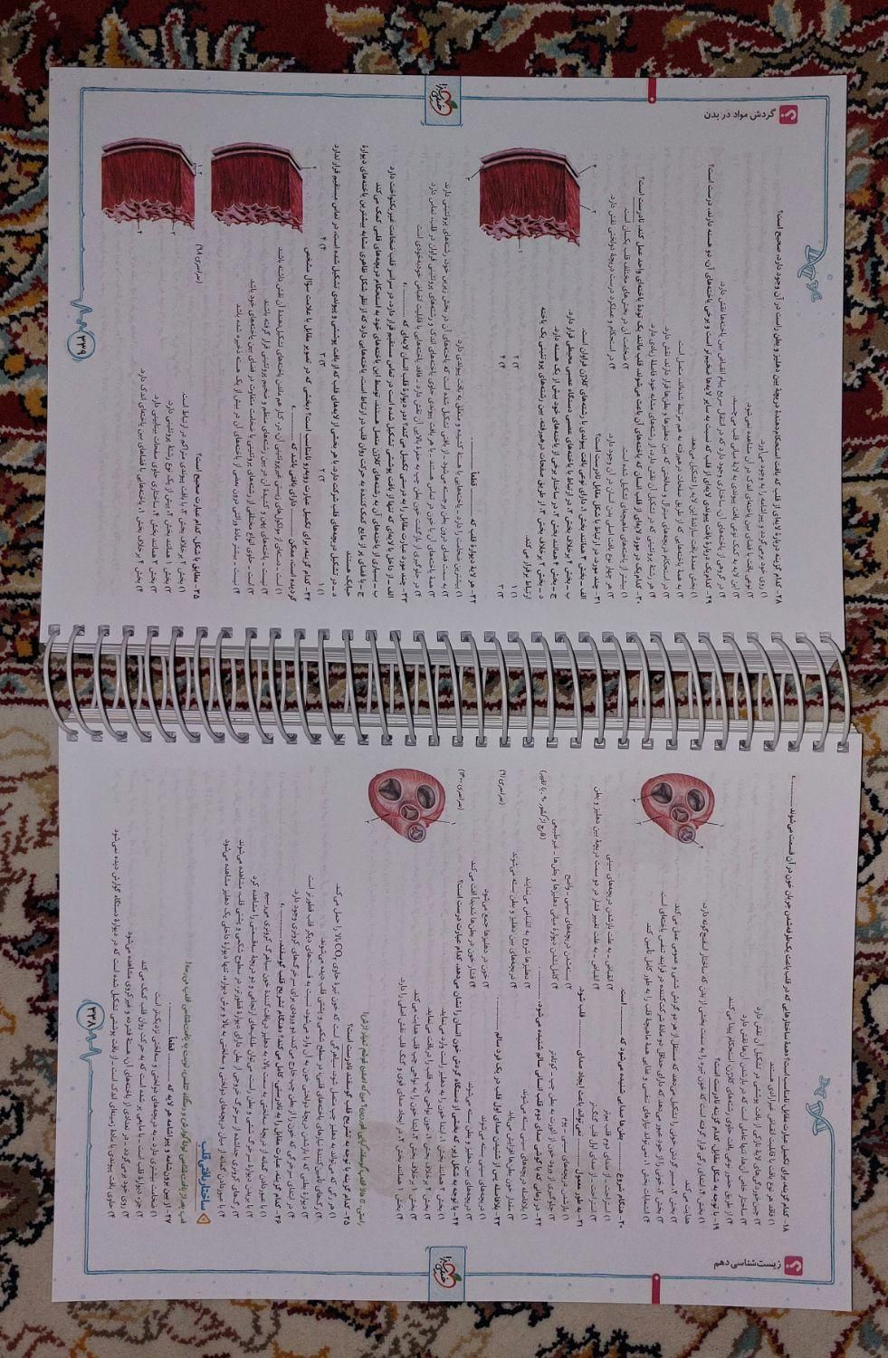 کتاب زیست دهم خیلی سبز 1402 (کاملاًنو)|کتاب و مجله آموزشی|زنجان, |دیوار