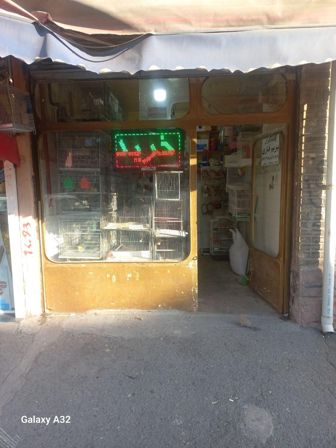 پرنده سرای بیزیم قناری در سیلاب قوشخانه|پرنده|تبریز, |دیوار