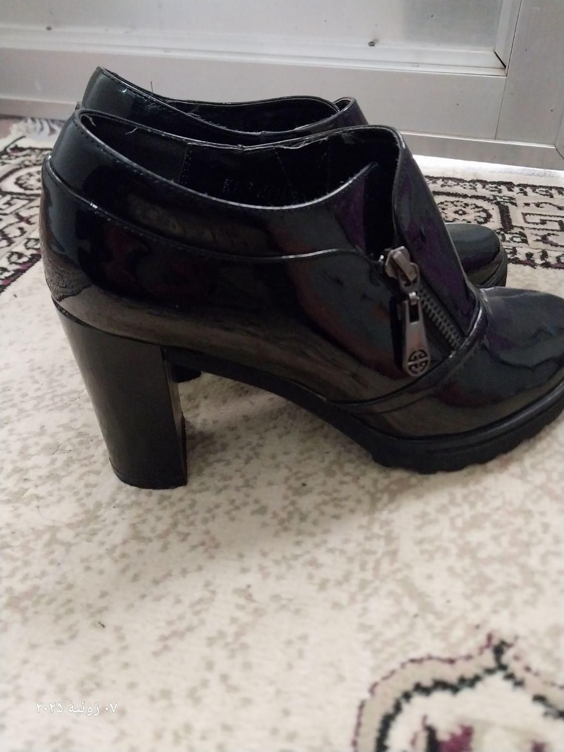 کفش زنانه|کیف، کفش، کمربند|اهر, |دیوار