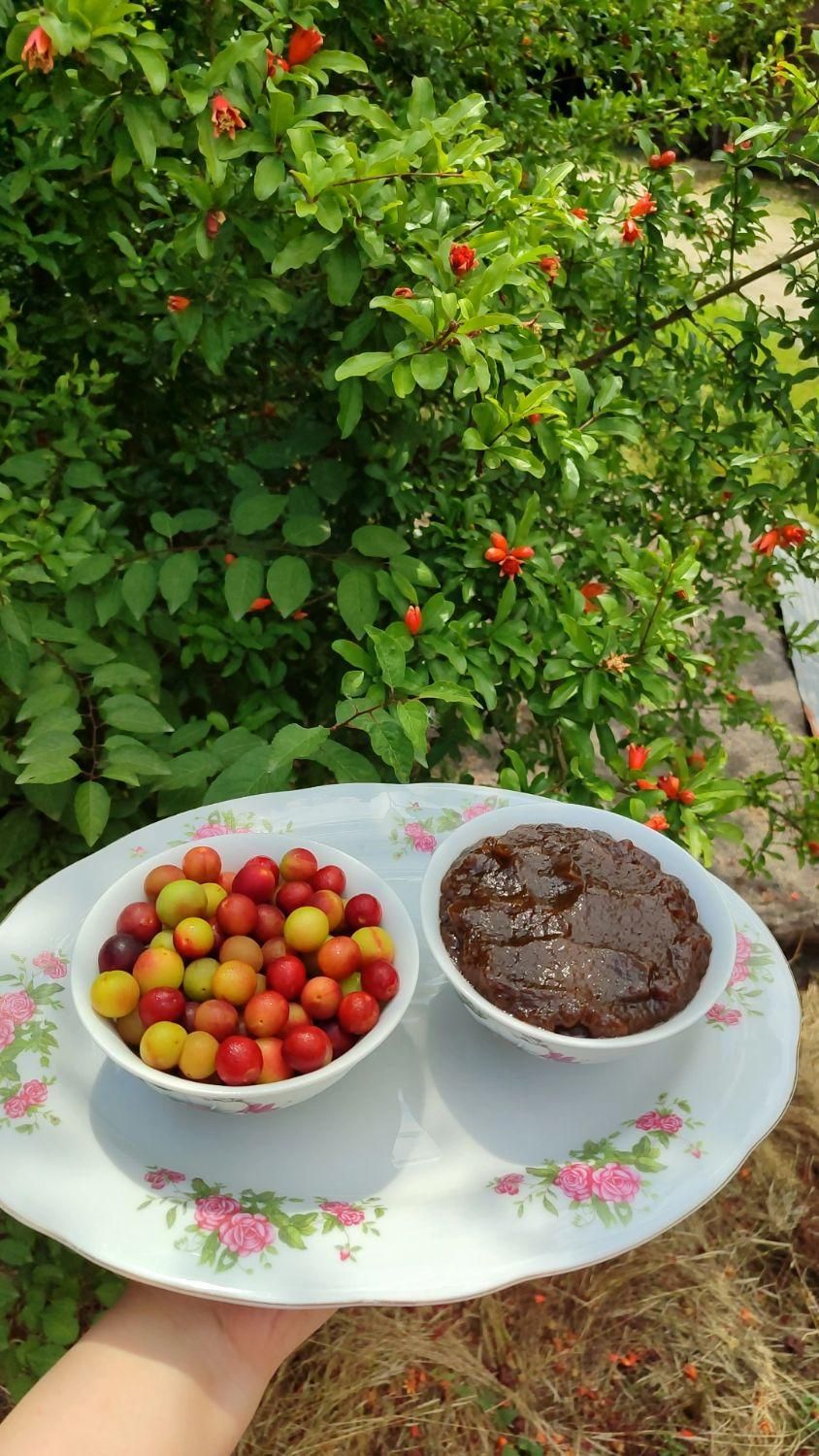 رب آلوچه تازه و ترش مامان پز|خوردنی و آشامیدنی|لاهیجان, جمهوری|دیوار