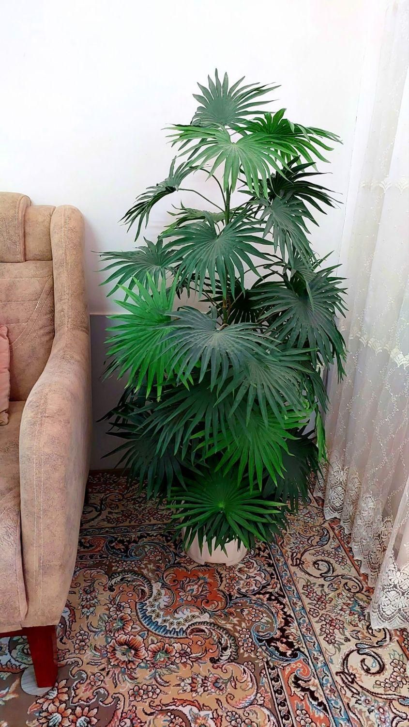 گل مصنوعی|گل مصنوعی|سبزوار, باهنر|دیوار