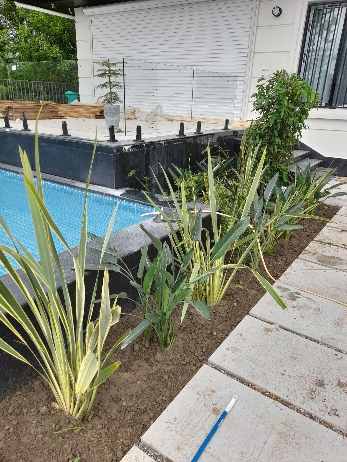 سمپاشی منازل و باغات تضمینی ۲۴ ساعته|خدمات نظافت|رشت, بلوار گیلان|دیوار