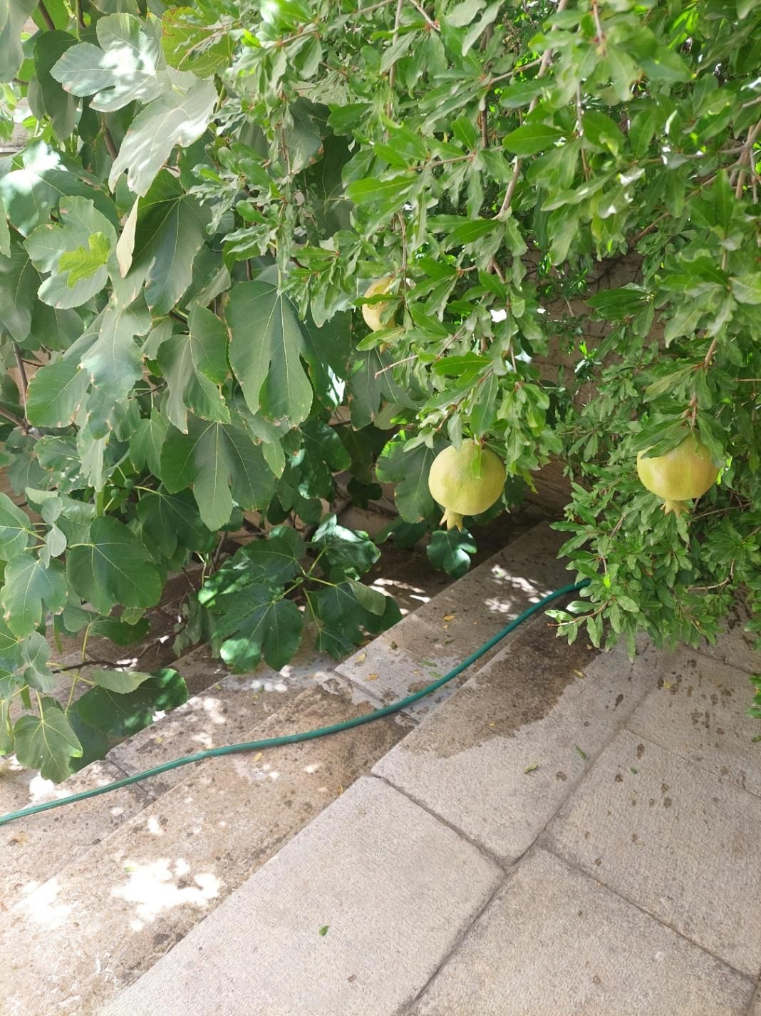 فروش آپارتمان ۱۵۶ متر در جدیری جنوبی ( پیش قدم ۲)|فروش آپارتمان|تبریز, |دیوار