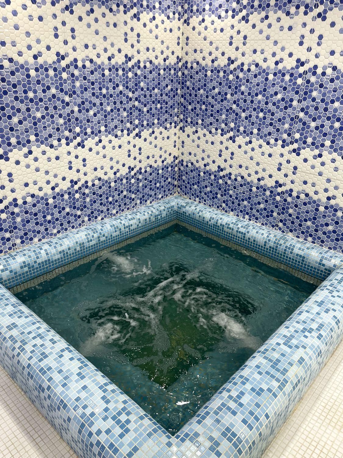 استخر و جکوزی فول|اجارهٔ کوتاهمدت ویلا و باغ|فریدونکنار, |دیوار