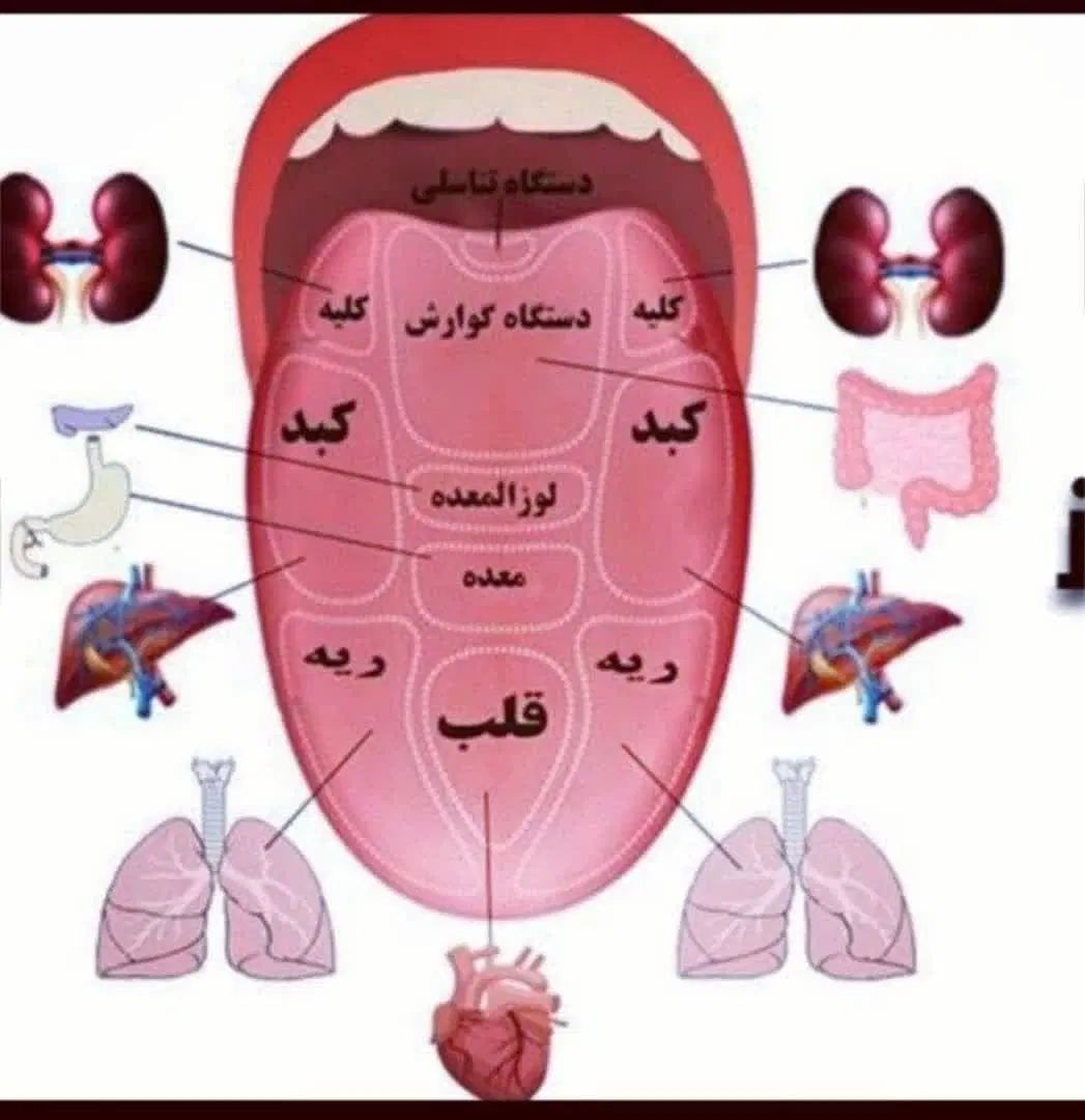فروش آنلاین محصولات نیوشا|استخدام بازاریابی و فروش|اصفهان, شاهزاده ابراهیم|دیوار