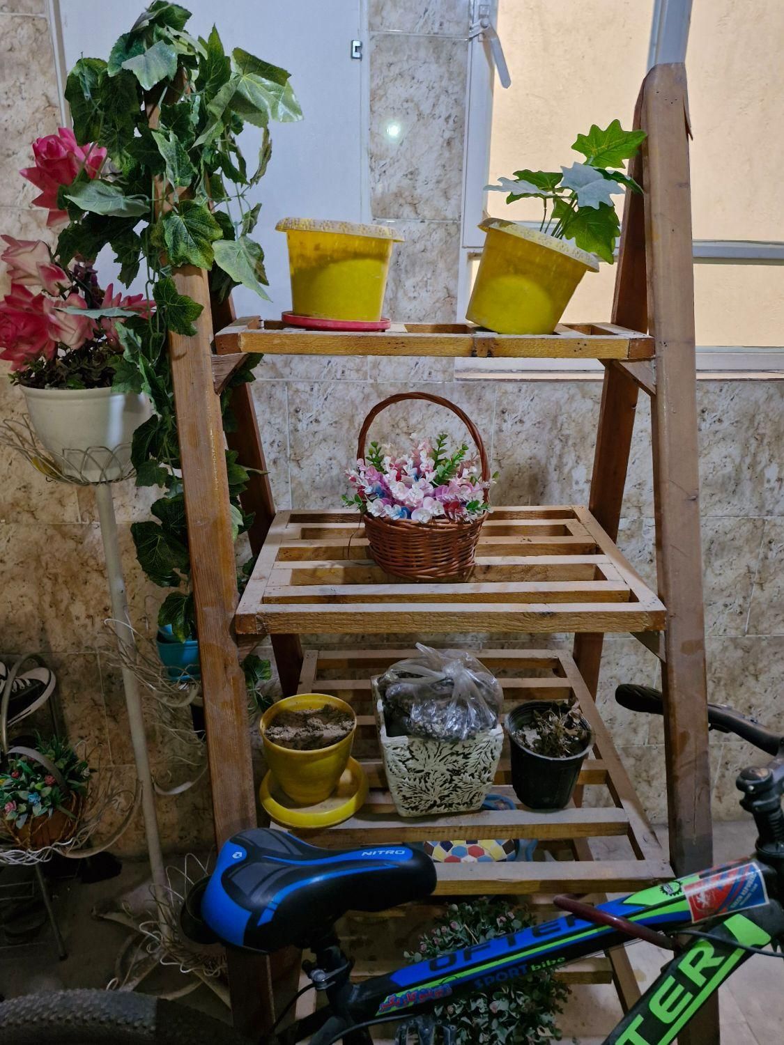 قفسه چوبی(جاگلدونی)|کتابخانه، شلف، قفسه‌های دیواری|اهواز, سپیدار|دیوار