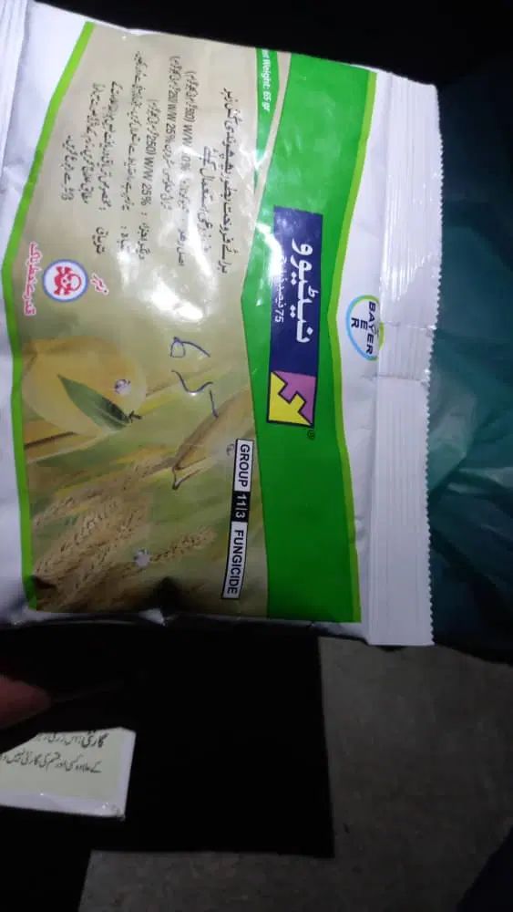 انواع سم کشاورزی وبذر گوجه آلمانی اصل وتضمین|خدمات باغبانی و درختکاری|شیراز, گل سرخ|دیوار