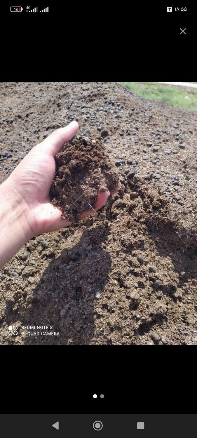 کود گوسفندی|خدمات باغبانی و درختکاری|همدان, |دیوار