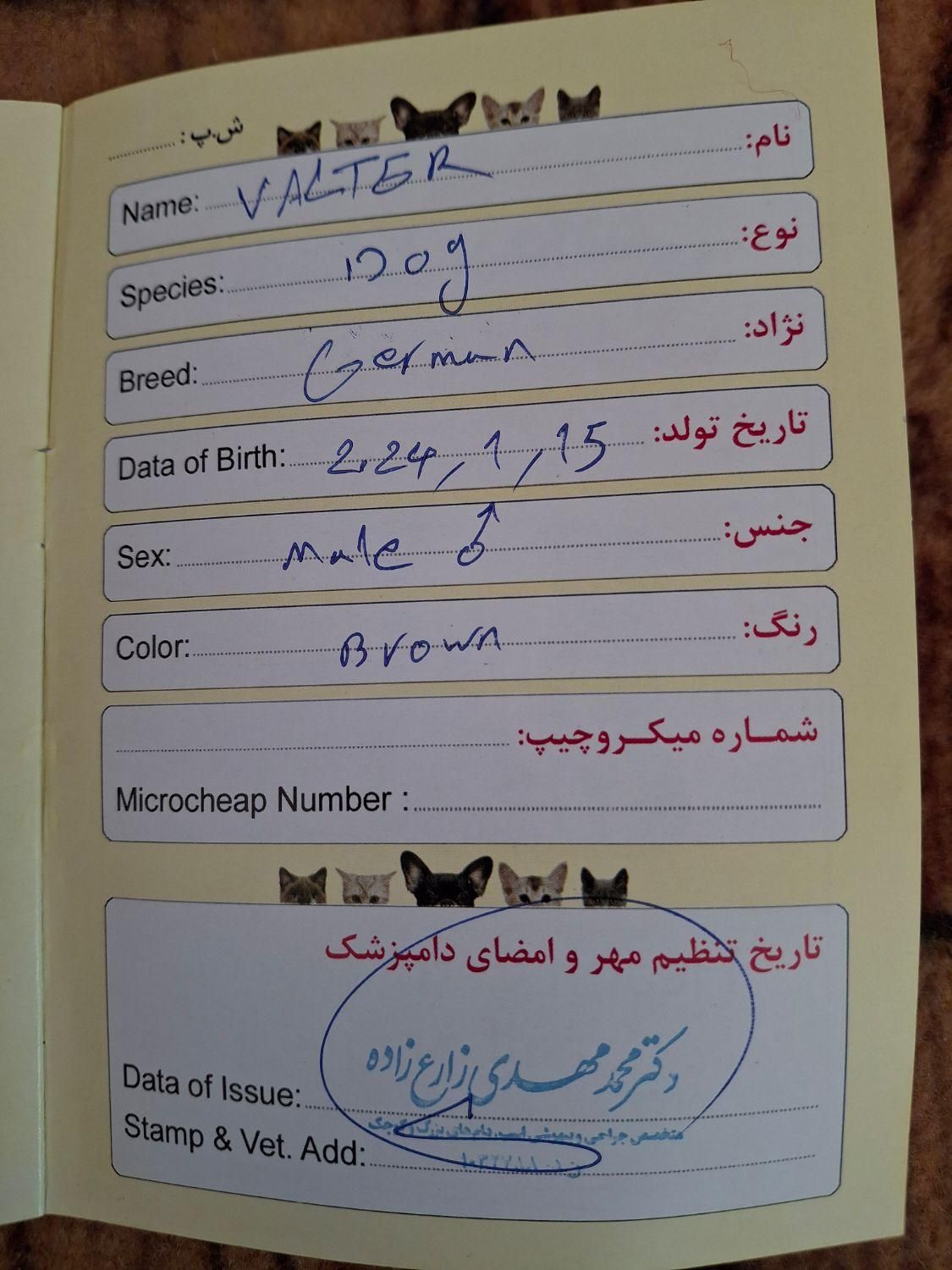 نر۲ساله نگهبانی عالی|سگ|یزد, |دیوار