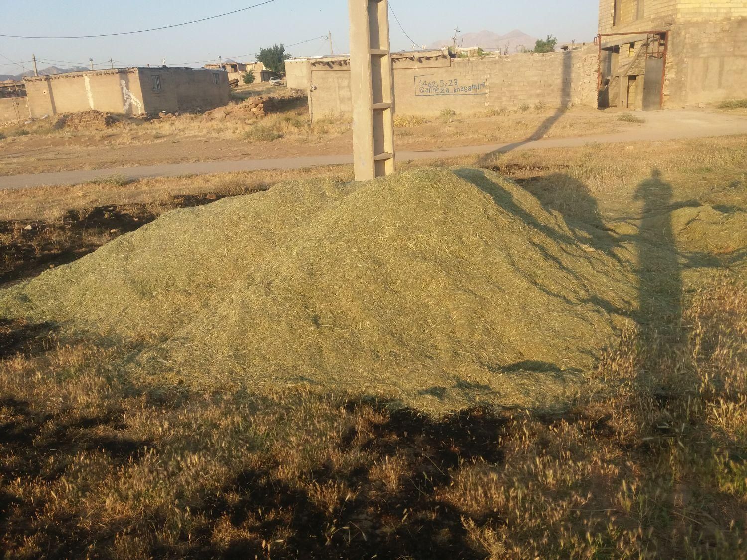 یونجه|حیوانات مزرعه|نورآباد, |دیوار