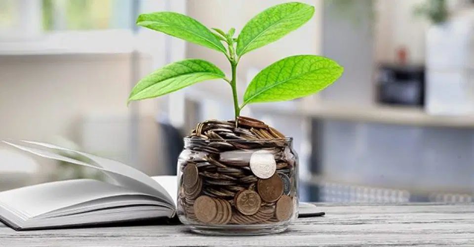 نیازمند سرمایه برای راه اندازی آنلاین شاپ|خدمات رایانه‌ای و موبایل|نیشابور, شهرک ولیعصر|دیوار