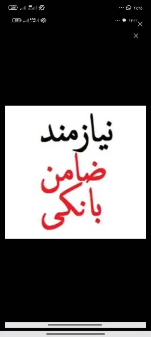 ضامن A. Bنیازمندیم|خدمات مالی، حسابداری، بیمه|تهران, فلسطین (میدان انقلاب)|دیوار