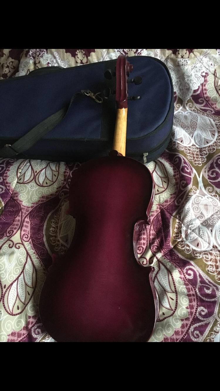 ویولون رنگ زیبا|ویولن|رشت, بلوار گیلان|دیوار