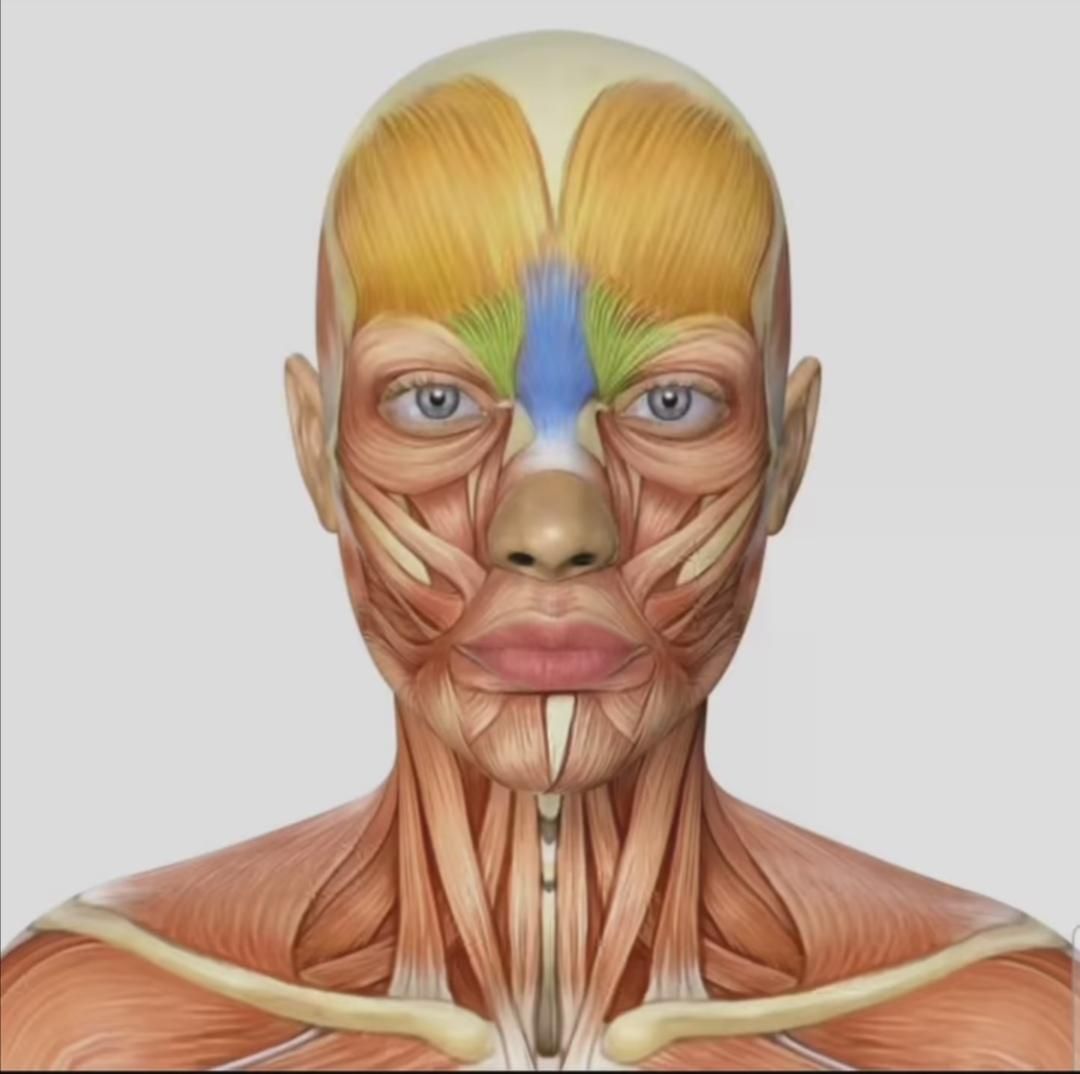 دوره آموزشی کامل بوتاکس/ژل/مزوتراپی/نخ/آنزیم|خدمات آموزشی|کرمانشاه, |دیوار