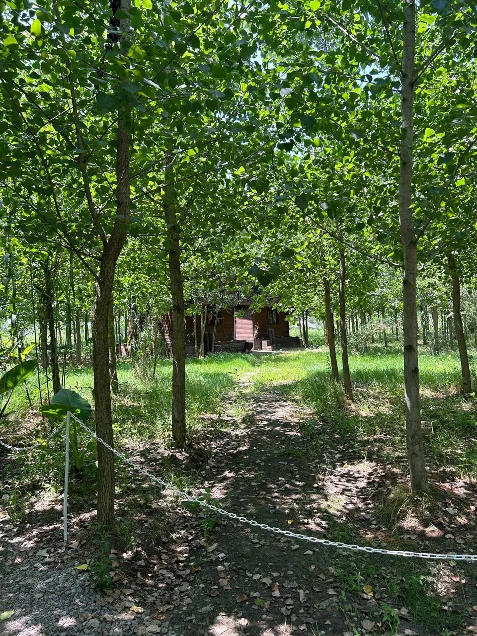 فرصت استثنایی برای زندگی در مجلل ترین ویلای منطقه|فروش خانه و ویلا|فردوسیه, |دیوار