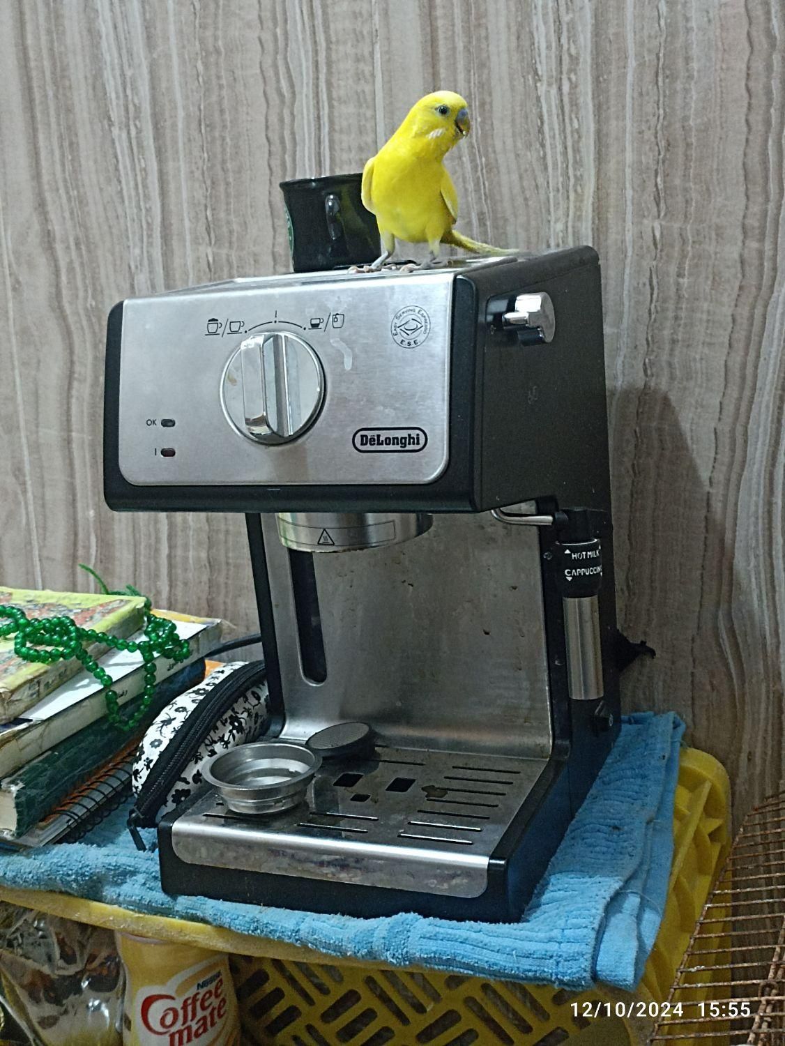 اسپرسوساز دلونگی|سماور، چای‌ساز، قهوه‌ساز|آبادان, |دیوار