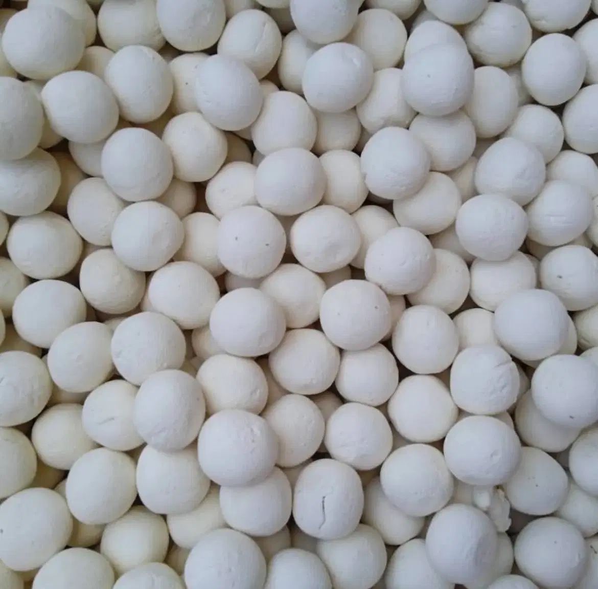 محصولات لبنی خشک|خوردنی و آشامیدنی|تهران, حکیمیه|دیوار