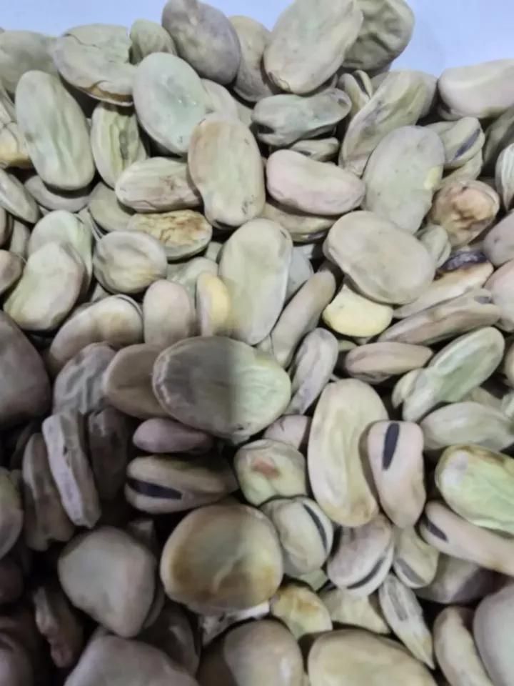 باقلای خشک درجه یک امسالی|خوردنی و آشامیدنی|بهشهر, |دیوار