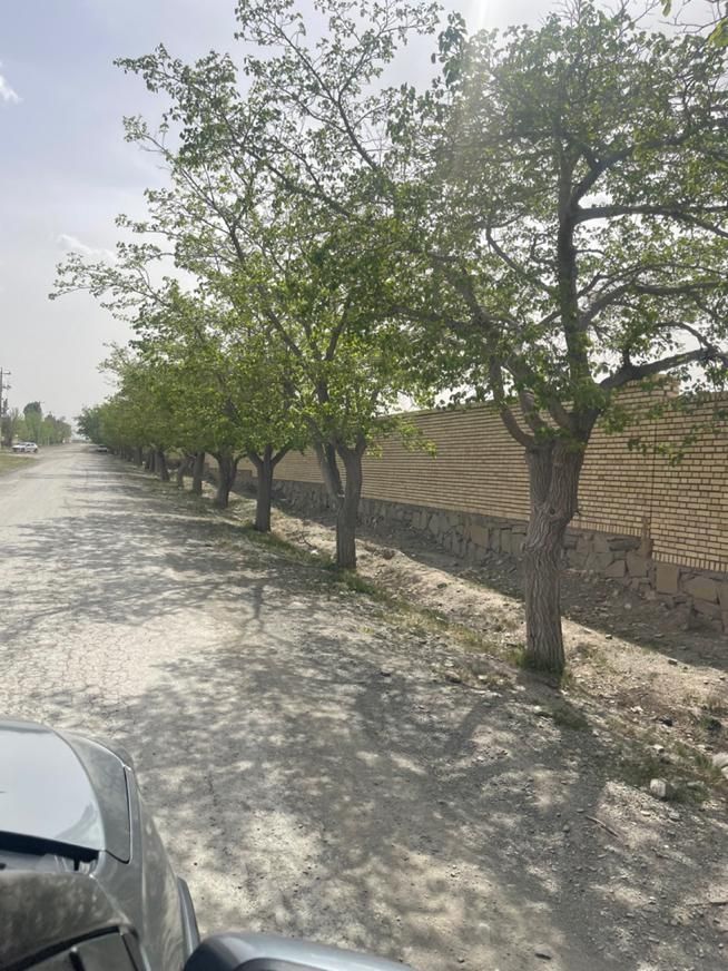 فروش زمین ازدورمیدان اول سنگ سفید گلبهار بدون کسری|فروش زمین و ملک کلنگی|مشهد, الهیه|دیوار