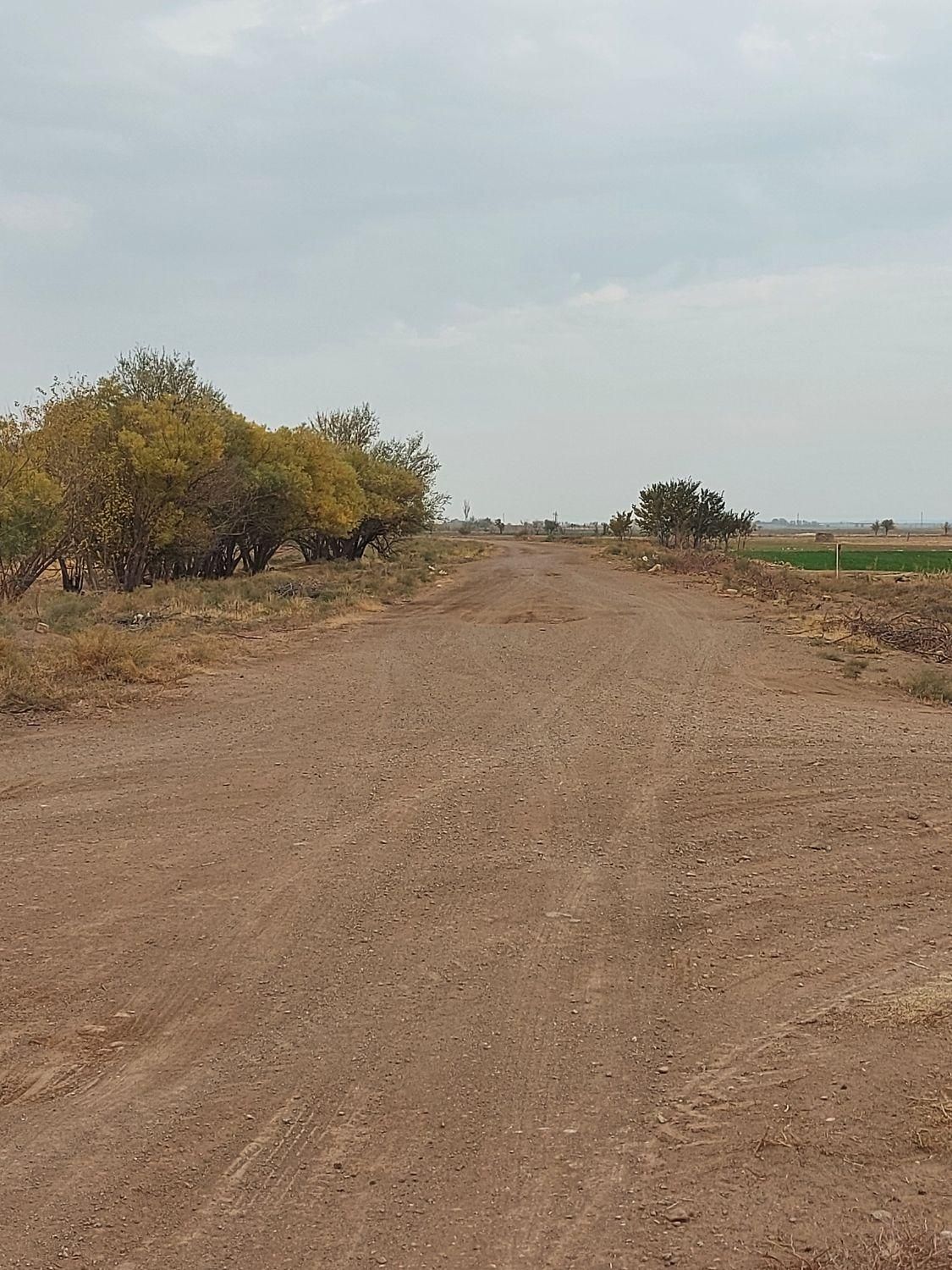 زمین کشاورزی با سهمیه آب موتور|فروش زمین و ملک کلنگی|زاویه, |دیوار