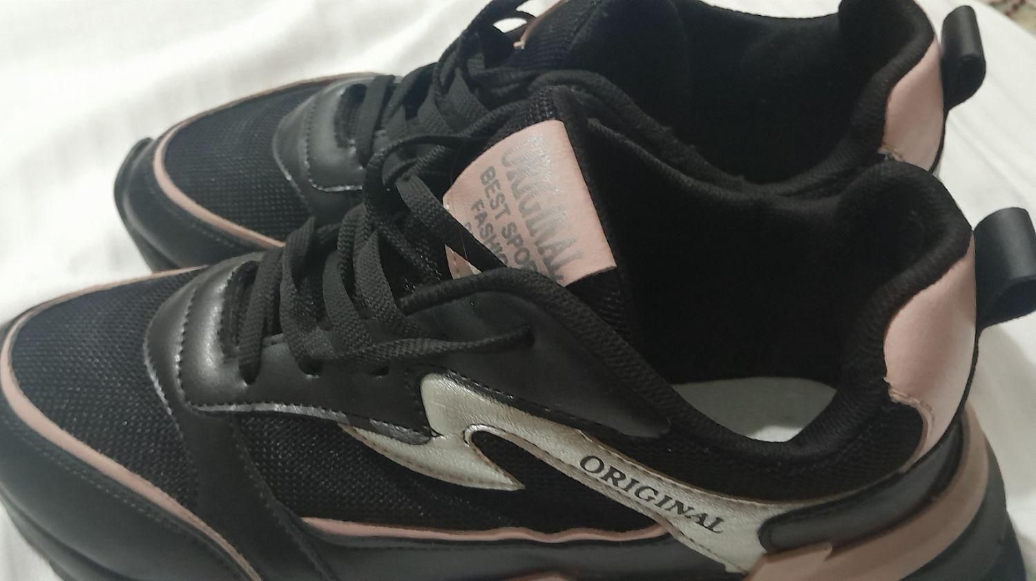 کفش|کیف، کفش، کمربند|جهرم, |دیوار