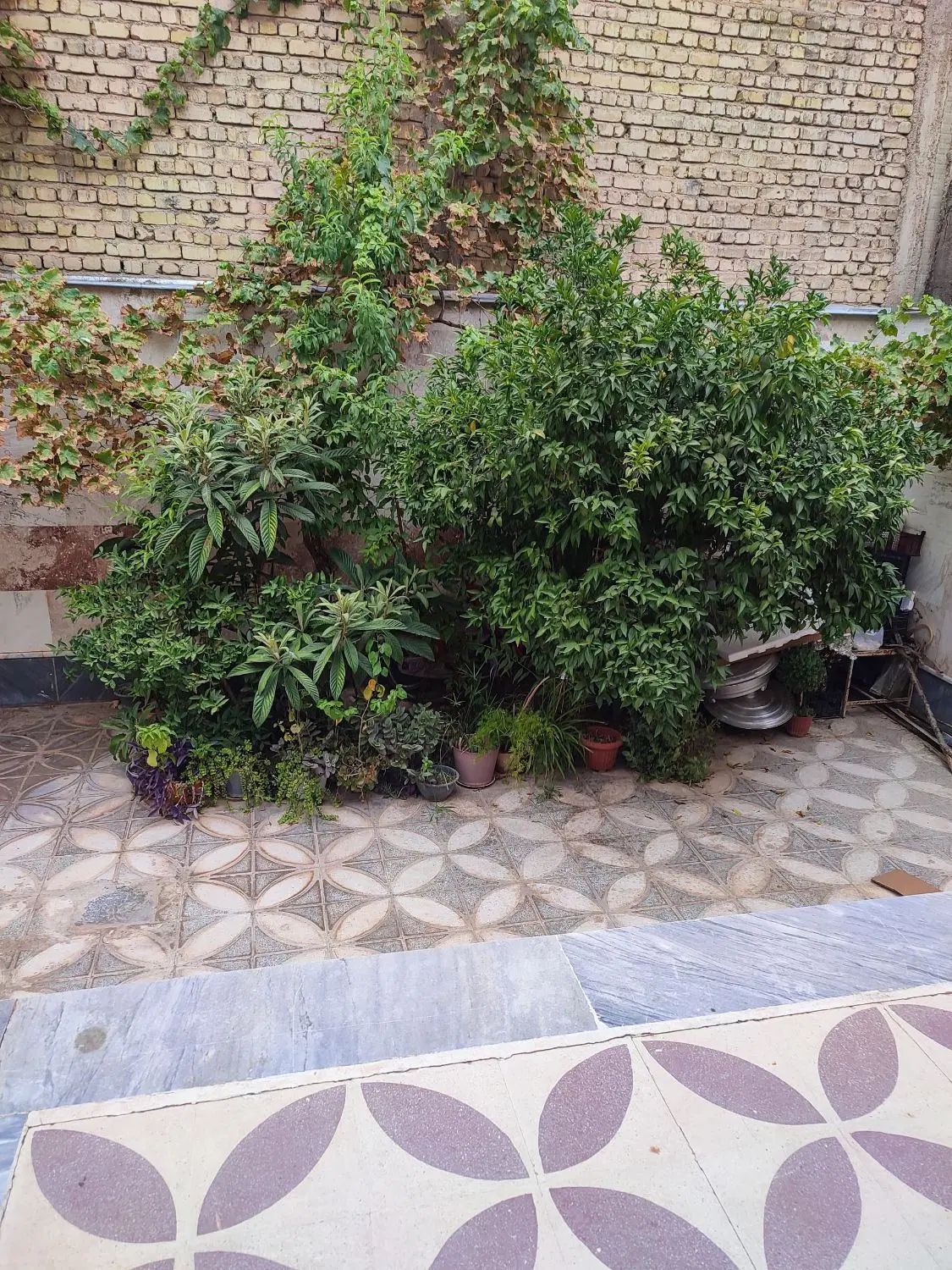 ۱۳۸متر زمین مسکونی.بلوار اتحاد.کوچه ۸۳/۲۸|فروش زمین و ملک کلنگی|شیراز, شهرک کوشکک|دیوار