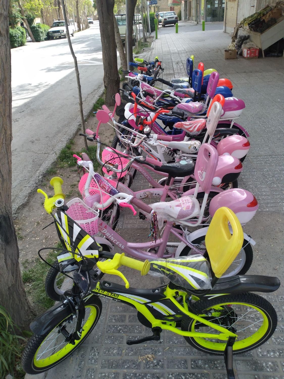 دوچرخه برتر|دوچرخه، اسکیت، اسکوتر|فولادشهر, C4|دیوار