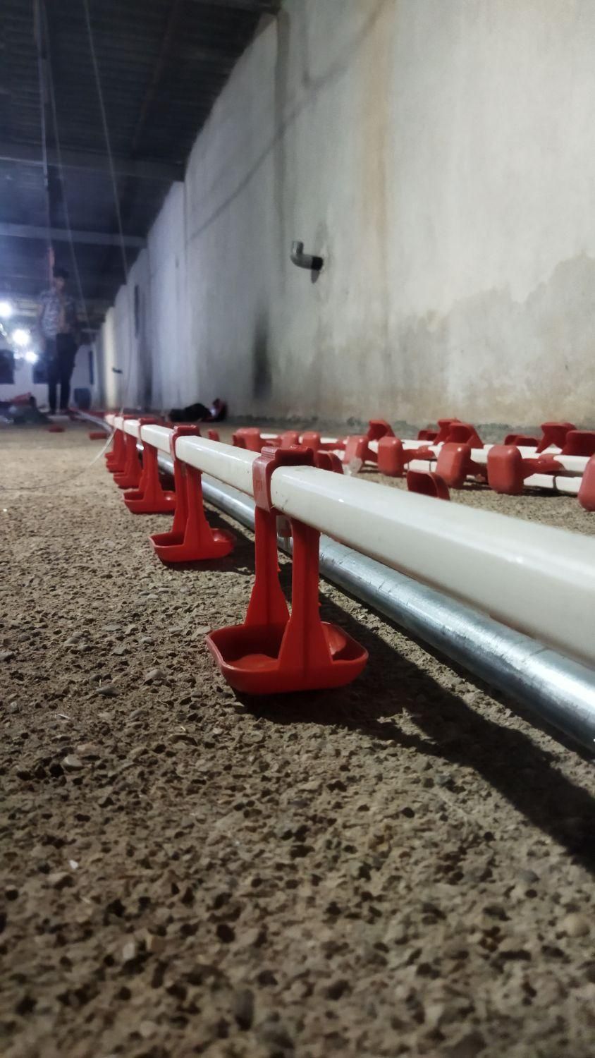 سیستم ابخوری نیپل تولید وفروش تجهیزات مرغداری|ماشینآلات صنعتی|قزوین, |دیوار