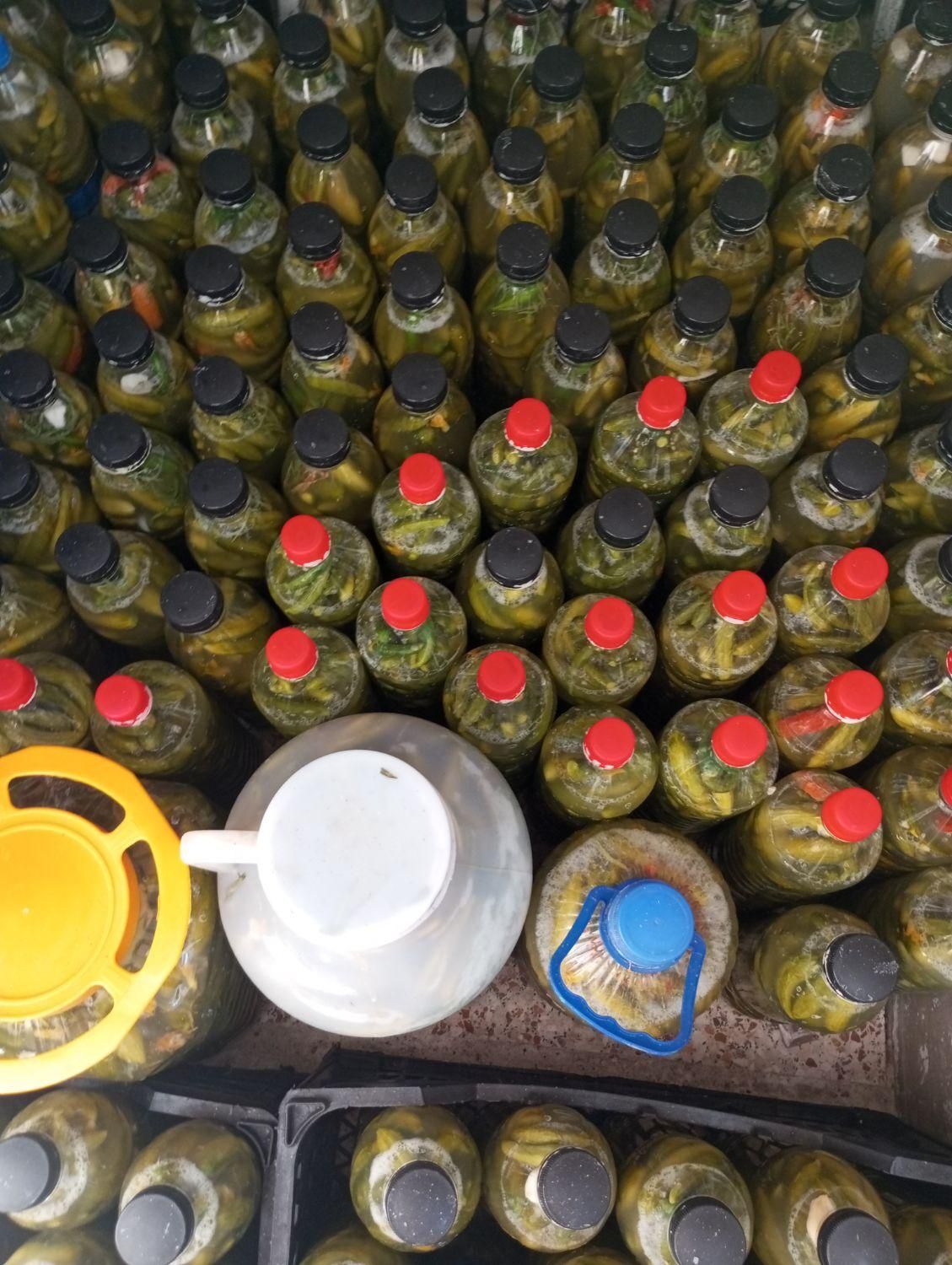 خیارشور خانگی|خوردنی و آشامیدنی|شیراز, ماه فیروزان|دیوار