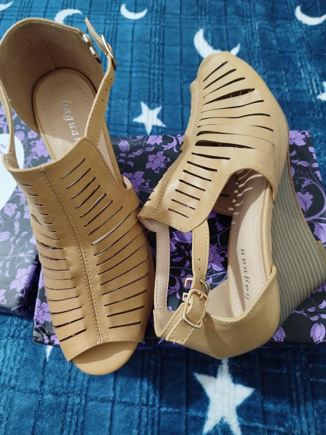 کفش|کیف، کفش، کمربند|بوشهر, |دیوار