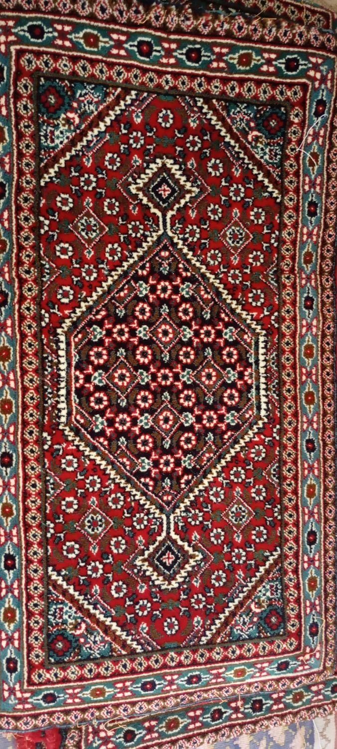 4عدد پادری زیبا و سالم|پادری|سنندج, |دیوار