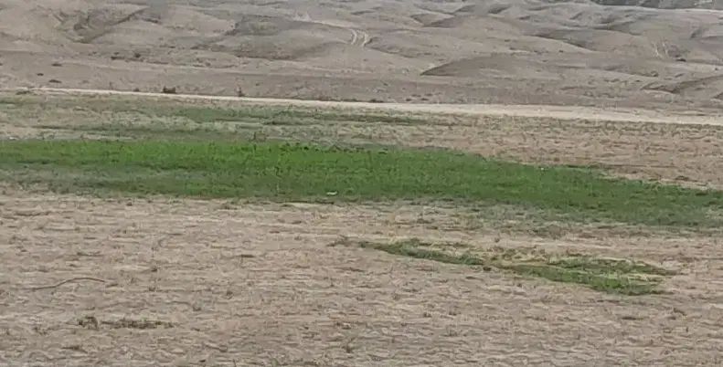 ۱۱۰ متر زمین نیم پلاک بخش باوی شهرستان ستاد ویس|فروش زمین و ملک کلنگی|باوی, |دیوار